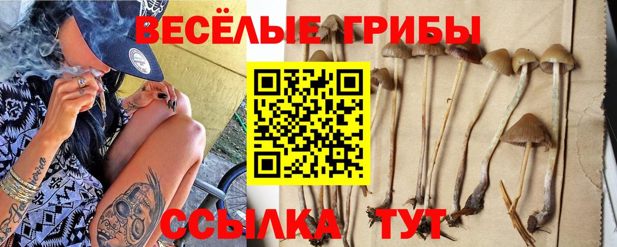 Псилоцибиновые грибы мухоморы Верхняя Пышма