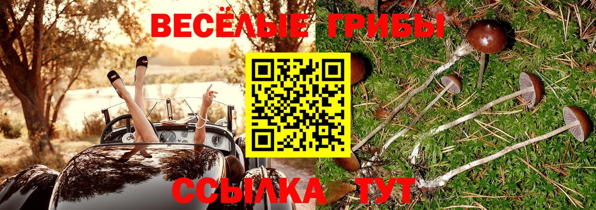 Галлюциногенные грибы MAGIC MUSHROOMS  Вход с VPN  Псилоцибиновые грибы мицелий  Верхняя Пышма 